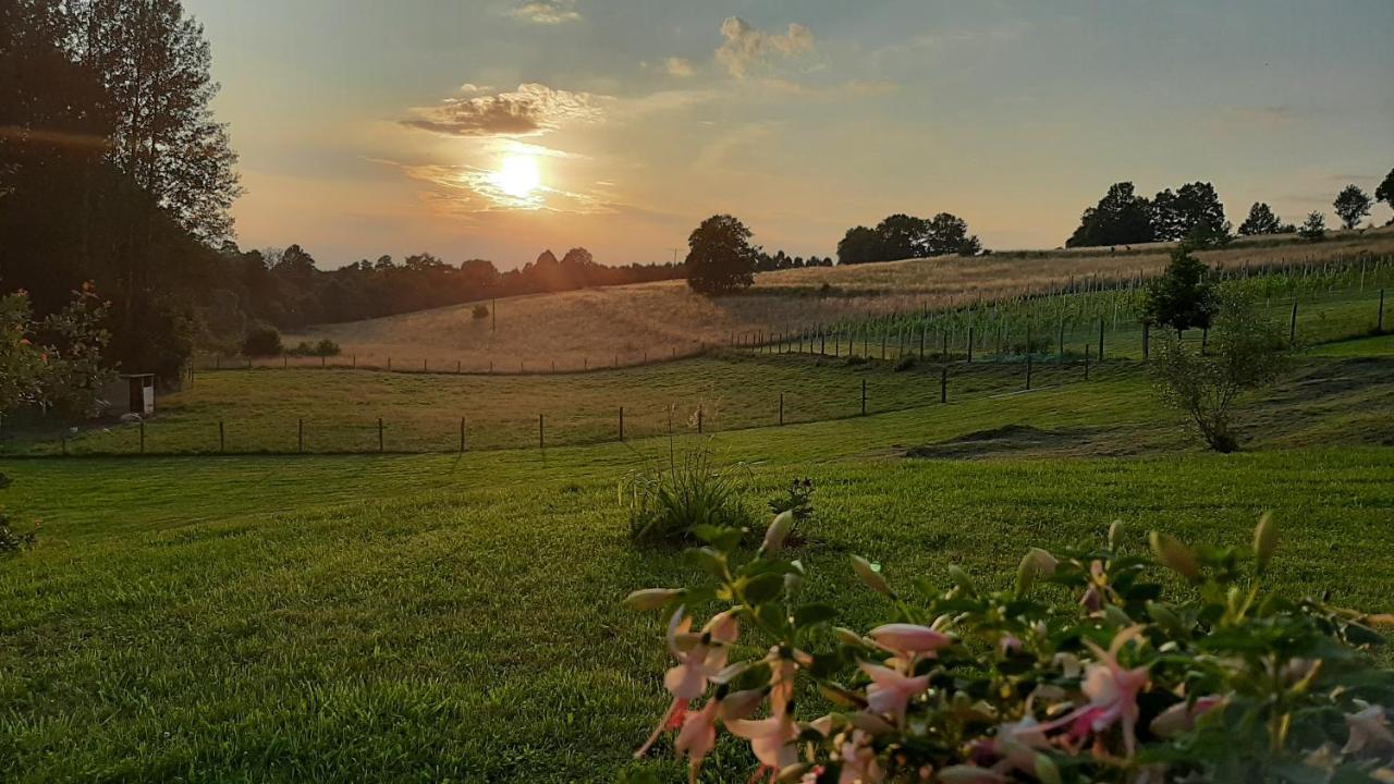 Agroturystyka Kruk Mirsk Dış mekan fotoğraf